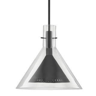 Buy satin-black Atticus Outdoor (Damp) Pendant by Troy Lighting