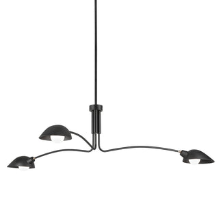 Leo Outdoor (Damp) Chandelier by Troy Lighting