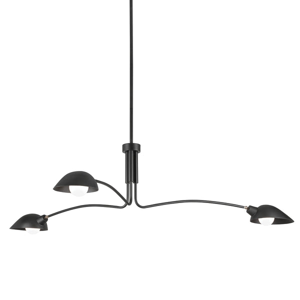 Leo Outdoor (Damp) Chandelier by Troy Lighting
