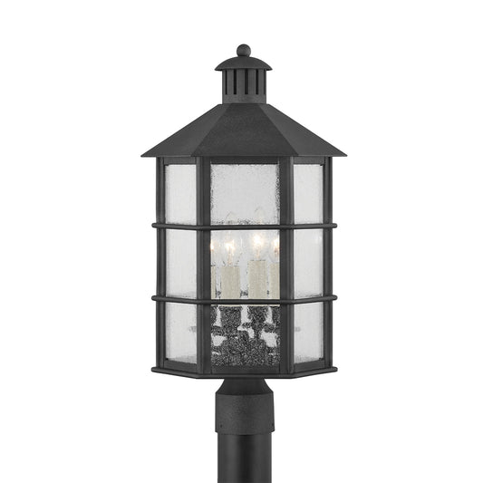 Troy Lighting-P2522-FRN|MAIN