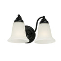 Brady Vanity by Capital Lighting