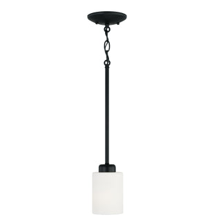 Buy matte-black Dixon Pendant by Capital Lighting