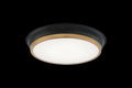Jaxx Ceiling Mount Light by Matteo Lighting