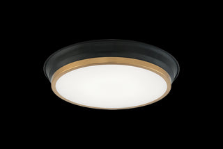 Buy black-aged-gold-brass-with-frosted-glass-glass-and-white-shade Jaxx Ceiling Mount Light by Matteo Lighting