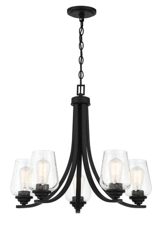 Buy coal-with-clear-seeded-glass-and-clear-seedy-shade Shyloh Outdoor (Damp) Chandelier by Minka-Lavery