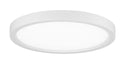 Outdoor (Damp) Flush Mount Ceiling Light by Minka-Lavery