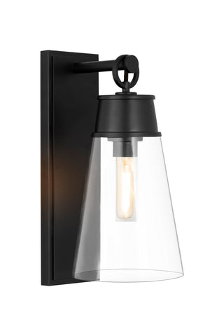 Buy matte-black-with-clear-glass-and-clear-shade Wentworth Sconce by Z-Lite