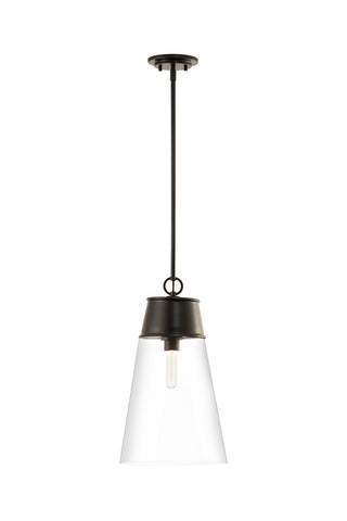 Buy matte-black-with-clear-glass-and-clear-shade Wentworth Pendant by Z-Lite