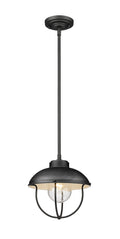 Ansel Outdoor (Damp) Hanging Lanterns by Z-Lite