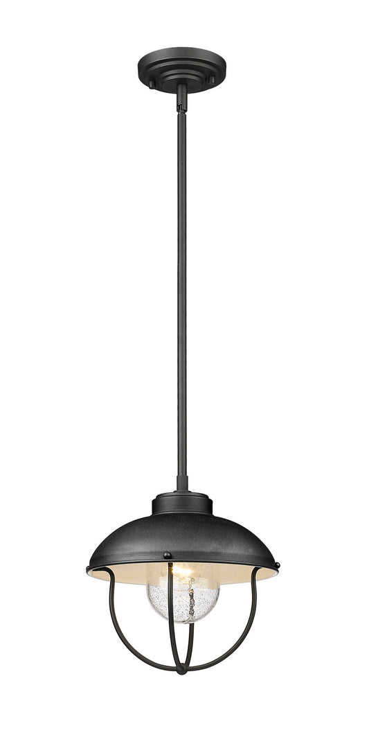 Z-Lite-590P-BK|MAIN