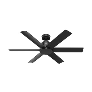Buy matte-black-finish-with-matte-black-blades Kennicott Outdoor (Damp) Ceiling Fan by Hunter