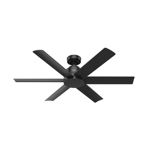 Kennicott Outdoor (Damp) Ceiling Fan by Hunter