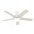Aren Hugger Ceiling Fan with Light by Hunter