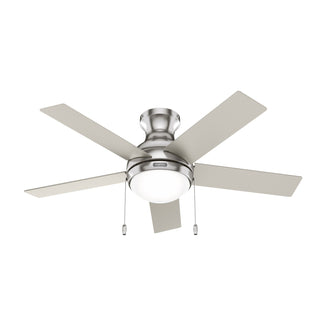 Buy brushed-nickel-finish-with-matte-nickel-blades Aren Hugger Ceiling Fan with Light by Hunter