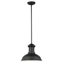 Fredricksburg Outdoor (Damp) Hanging Lanterns by Generation Lighting