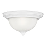 Generation Lighting-77063EN3-15|MAIN
