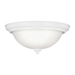 Generation Lighting-77064EN3-15|MAIN