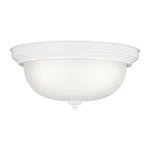 Generation Lighting-77065EN3-15|MAIN