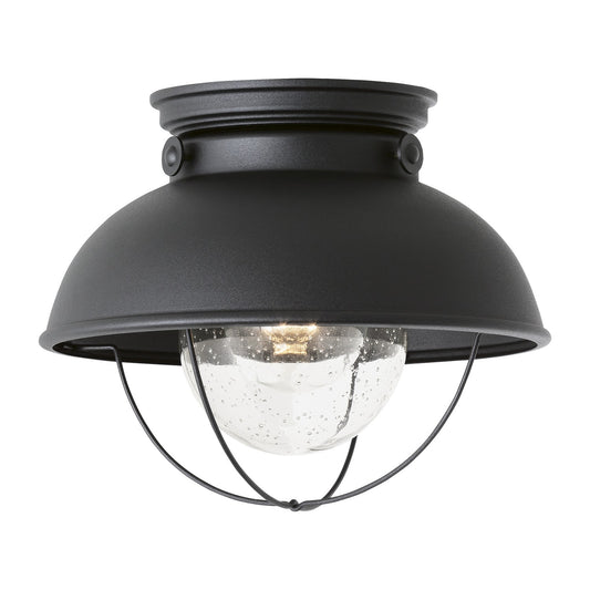 Sebring Flush Mount Ceiling Light by Generation Lighting