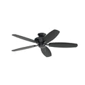 Renew Ceiling Fan by Kichler
