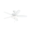 Renew Select Ceiling Fan with Light by Kichler