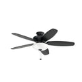 Renew Select Ceiling Fan with Light by Kichler