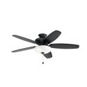 Renew Select Ceiling Fan with Light by Kichler