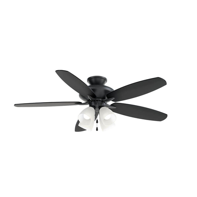 Renew Premier Ceiling Fan with Light by Kichler