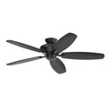 Renew Es Ceiling Fan by Kichler