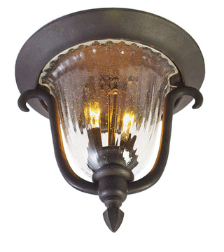 Buy textured-matte-black-and-clear-seedy-shade Santa Barbara Outdoor Outdoor (Wet) Flush Mount Ceiling Light by Kalco