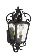 Brixton Ivey Outdoor (Wet) Lantern by Minka-Lavery