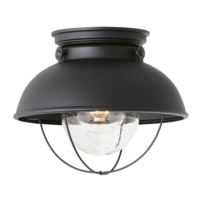 Generation Lighting-8869-12|MAIN