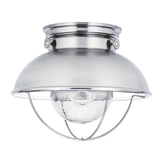 Buy brushed-stainless-with-clear-seeded-glass-and-clear-seedy-shade Sebring Outdoor (Damp) Flush Mount Light by Generation Lighting