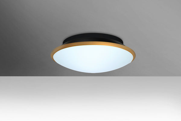Silk Outdoor (Damp) Ceiling Mount Light by Besa
