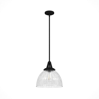 Buy natural-black-iron-with-clear-holophane-glass-and-clear-shade Cypress Grove Pendant by Hunter