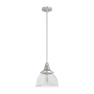 Buy brushed-nickel-with-clear-holophane-glass-and-clear-shade Cypress Grove Pendant by Hunter