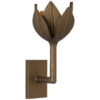 Buy antique-bronze-leaf Alberto Outdoor (Damp) Sconce by Visual Comfort Signature