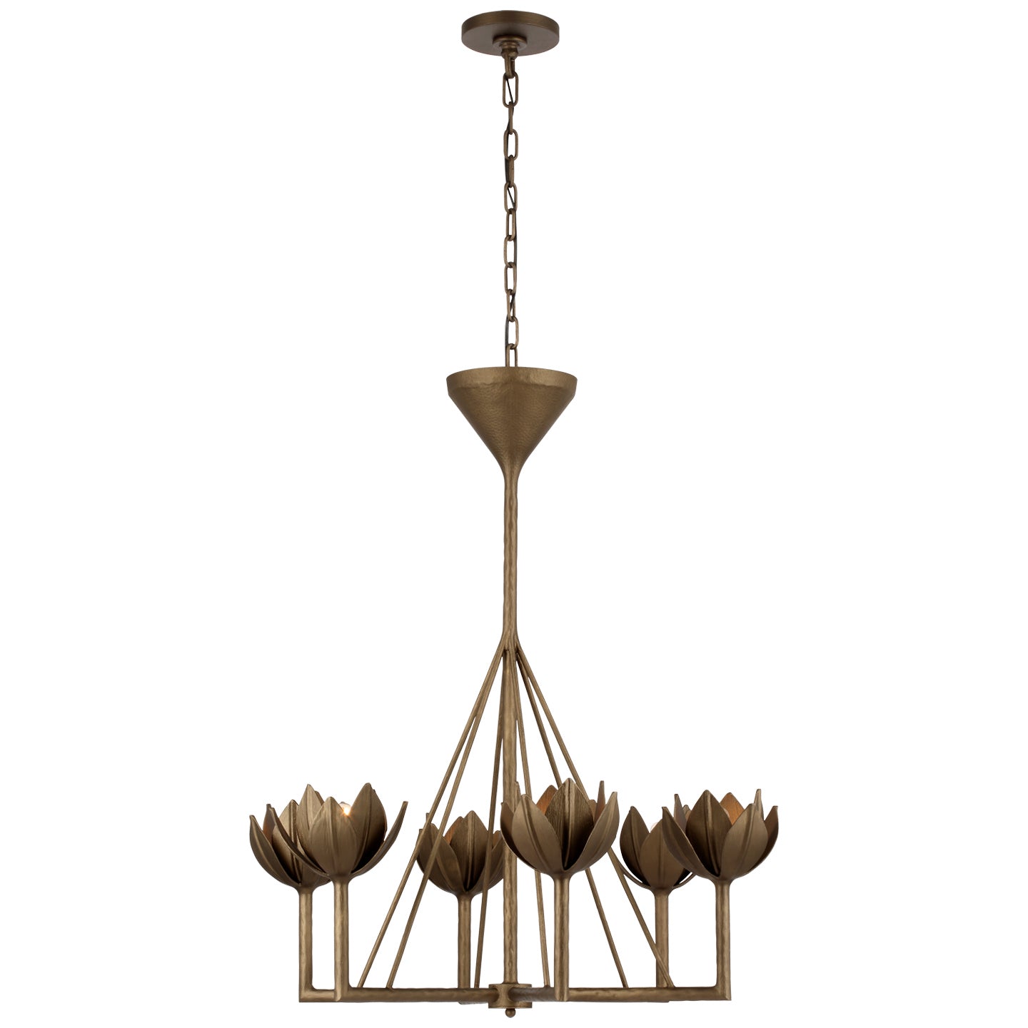 Alberto Outdoor (Damp) Chandelier by Visual Comfort Signature