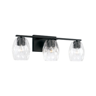 Buy matte-black Lucas Vanity by Capital Lighting
