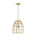 Wren Pendant by Capital Lighting