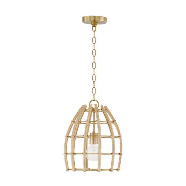 Wren Pendant by Capital Lighting