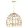 Wren Pendant by Capital Lighting