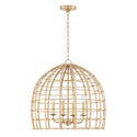 Wren Pendant by Capital Lighting