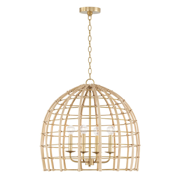 Wren Pendant by Capital Lighting