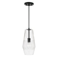 Dena Pendant by Capital Lighting