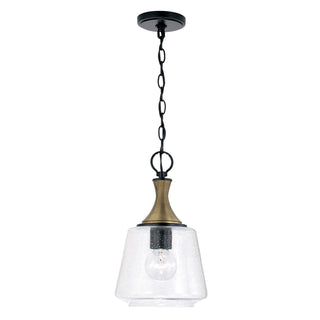 Amara Pendant by Capital Lighting