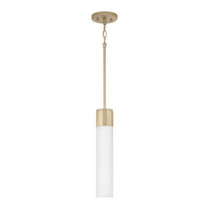 Sutton Pendant by Capital Lighting
