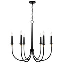 Amara Chandelier by Capital Lighting