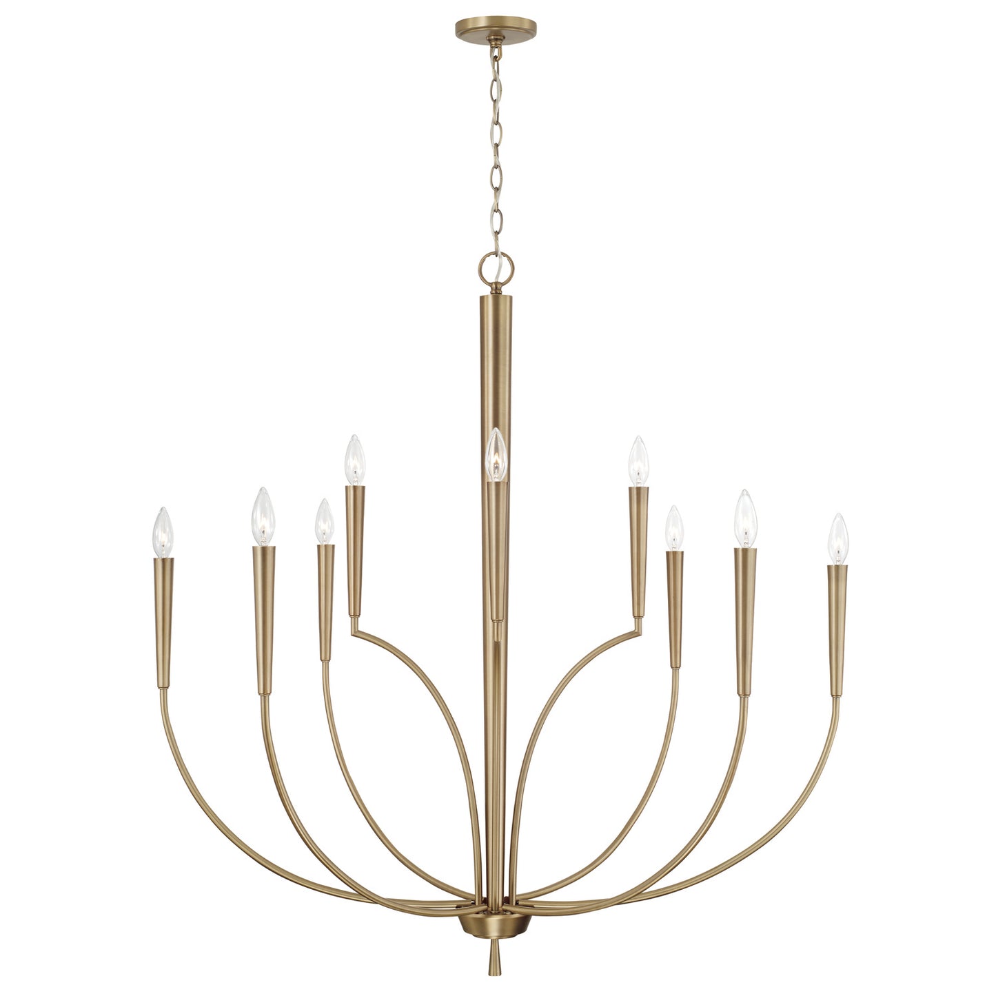 Holden Chandelier by Capital Lighting