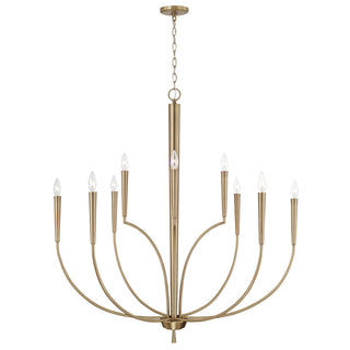 Holden Chandelier by Capital Lighting